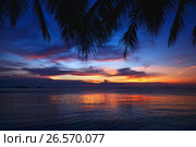 Tropical sunset beach with palm tree. Стоковое фото, фотограф Roman Barelko / Фотобанк Лори