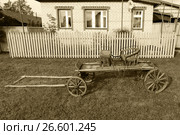 Сибирский ходок возле дома (2017 год). Редакционное фото, фотограф Анатолий Матвейчук / Фотобанк Лори