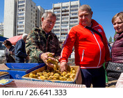 Покупатель выбирает утят на птичьем рынке (2017 год). Редакционное фото, фотограф Вячеслав Палес / Фотобанк Лори