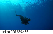 Scubadiver hanging in blue water on the safety stop, and lets bubbles ring - Marsa Alam, Red Sea, Egypt, Africa. Стоковое видео, видеограф Некрасов Андрей / Фотобанк Лори
