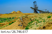 Миграция аистов. Аисты в Покровском карьере марганцевой руды. (2017 год). Стоковое фото, фотограф Роман Румянцев / Фотобанк Лори