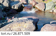 Река Их Сайр в урочище Цагдуулт в Монголии / Rapids and stones of small mountain river Ih Sair in natural boundary Tsagduult, Mongolia (2017 год). Стоковое видео, видеограф Сергей Пристяжнюк (Serg Zastavkin) / Фотобанк Лори