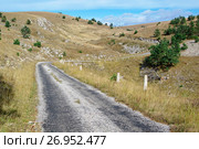 Крым, Романовское шоссе на Гурзуфской яйле. Стоковое фото, фотограф glokaya_kuzdra / Фотобанк Лори