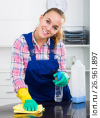 portrait of young woman cleaning. Стоковое фото, фотограф Яков Филимонов / Фотобанк Лори