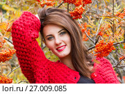 Девушка в красном кардигане на фоне гроздьев спелой рябины. Стоковое фото, фотограф Момотюк Сергей / Фотобанк Лори