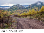 Сахалинская область, близ поселка Вахрушев (2017 год). Стоковое фото, фотограф Поволкович Федор / Фотобанк Лори