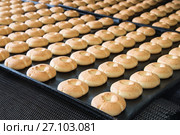 Production line of baking cookies on factory, food industry, closeup. Стоковое фото, фотограф Сергей Дорошенко / Фотобанк Лори