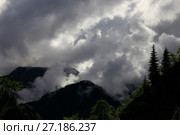 A beautiful view of the mountains and the forest, when light breaks through the gray clouds. Стоковое фото, фотограф Яна Королёва / Фотобанк Лори