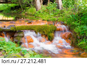 Маленький водопад на реке, вытекающей из Мшенских родников. Стоковое фото, фотограф Pukhov K / Фотобанк Лори
