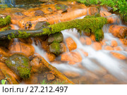Маленький водопад на реке, вытекающей из Мшенских родников. Стоковое фото, фотограф Pukhov K / Фотобанк Лори