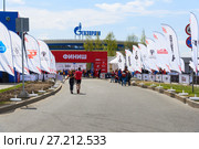 Финишная прямая первого в России полумарафона "ЗаБег" на Крестовском острове. Санкт-Петербург (2017 год). Редакционное фото, фотограф Александр Щепин / Фотобанк Лори