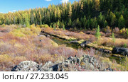 Река Куркурек на плато Ештыкель, Алтай / Video panorama of North Chuiskiy Ridge with stones on foreground and larch forest on background in Autumn. Altai. Стоковое видео, видеограф Сергей Пристяжнюк (Serg Zastavkin) / Фотобанк Лори