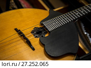 Домра - русский, украинский и белорусский народный струнный щипковый музыкальный инструмент. Стоковое фото, фотограф Николай Винокуров / Фотобанк Лори