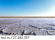Steppe saline soils. Steppe prairie veld. Saline soils of the desert. Salt lakes (2015 год). Стоковое фото, фотограф Евгений Ткачёв / Фотобанк Лори