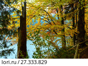 Lake Synevyr autumn view. Стоковое фото, фотограф Юрий Брыкайло / Фотобанк Лори