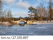 Picturesque winter landscape Gatchina park with a humpback bridge in a sunny winter day (2017 год). Редакционное фото, фотограф Юлия Бабкина / Фотобанк Лори