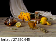 Useful herbal tea with a plant (Sideritis scardica) or Greek mountain tea with lemon in a cup and yellow chrysanthemums on a wooden table  close-up. Стоковое фото, фотограф Татьяна Ляпи / Фотобанк Лори