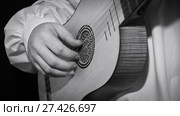 Man playing spanish renaissance instrument vihuela de mano. Стоковое фото, фотограф Дмитрий Черевко / Фотобанк Лори