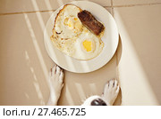 Dog and plate with fried eggs and meat cutlet. Стоковое фото, фотограф Kira_Yan / Фотобанк Лори