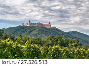 Gottweig Abbey, Austria (2016 год). Стоковое фото, фотограф Boris Breytman / Фотобанк Лори