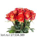 Bright roses on a white background. Стоковое фото, фотограф Ekaterina Andreeva / Фотобанк Лори