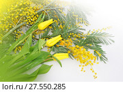Spring flowers for Mother day. Стоковое фото, фотограф ElenArt / Фотобанк Лори