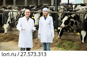 Workers taking care of cows. Стоковое фото, фотограф Яков Филимонов / Фотобанк Лори