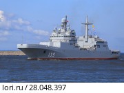 Большой десантный корабль "Иван Грен" в акватории Кронштадта (2017 год). Редакционное фото, фотограф Роман Рожков / Фотобанк Лори
