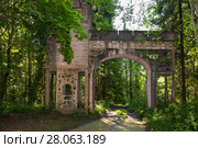 Разрушенные романтические въездные ворота из железобетона (1914). Усадьба Заветное. Новгородская область, Россия (2017 год). Стоковое фото, фотограф Pukhov K / Фотобанк Лори