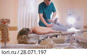 Chiropractor massaging a young woman lying on a massage table, stretching and flexing her hip joint pressing on her knee. Стоковое фото, фотограф Константин Шишкин / Фотобанк Лори