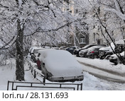 Автомобили в зимнем дворе (2018 год). Стоковое фото, фотограф Татьяна Чепикова / Фотобанк Лори