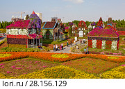 Парк цветов в Дубае (Dubai Miracle Garden). Объединённые Арабские Эмираты (2014 год). Редакционное фото, фотограф Сергей Афанасьев / Фотобанк Лори