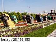 Парк цветов в Дубае (Dubai Miracle Garden). Объединённые Арабские Эмираты (2014 год). Редакционное фото, фотограф Сергей Афанасьев / Фотобанк Лори