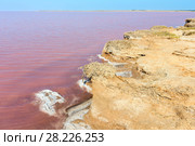 Pink salty Syvash Lake, Ukraine (2017 год). Стоковое фото, фотограф Юрий Брыкайло / Фотобанк Лори