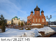 Город Тула. Собор Успения Пресвятой Богородицы Успенского монастыря XIX века зимним днём на фоне синего неба (2018 год). Стоковое фото, фотограф Игорь Низов / Фотобанк Лори