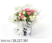Blossom of beautiful flowers roses. Стоковое фото, фотограф ElenArt / Фотобанк Лори