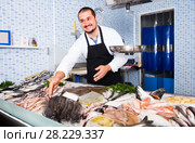 Seller showing fish lying. Стоковое фото, фотограф Яков Филимонов / Фотобанк Лори