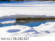 Spring thawed patch in the ice of the river on a sunny day. Стоковое фото, фотограф Евгений Харитонов / Фотобанк Лори