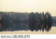 Panoramic autumnal landscape with threes. Стоковое фото, фотограф EugeneSergeev / Фотобанк Лори