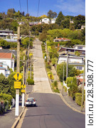 Baldwin Street - the world's steepest street in Dunedin, Otago, South Island, New Zealand. Стоковое фото, агентство BE&W Photo / Фотобанк Лори