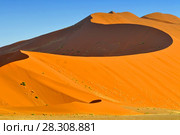 Sharp border of light and shadow over the crest of the dune at sunrise at Sossusvlei Namib Desert, Namib-Naukluft National Park of Namibia. Стоковое фото, агентство BE&W Photo / Фотобанк Лори