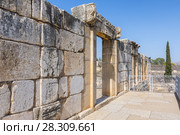 Ruins of ancient White synagogue in which Jesus Christ preached in biblical Capernaum, Israel. Стоковое фото, агентство BE&W Photo / Фотобанк Лори