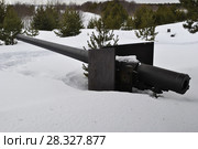 Американская 120 мм пушка на острове Мудьюг в Белом море. Россия, Архангельская область (2012 год). Редакционное фото, фотограф Яковлев Сергей / Фотобанк Лори