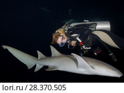 Female scuba diver looks at nurse shark in the night. Tawny nurse shark, Giant sleepy shark or Madame X (Nebrius ferrugineus) (2018 год). Редакционное фото, фотограф Некрасов Андрей / Фотобанк Лори
