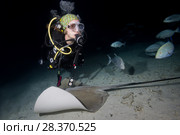 Female scuba diver swims with stingray in the night. Pink whipray or Banana-tail ray (Himantura fai) (2018 год). Редакционное фото, фотограф Некрасов Андрей / Фотобанк Лори