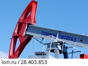 Россия, Тюменская область, Уватский район,Кальчинское месторождение нефти, крупные детали качалки нефти, (2006 год). Редакционное фото, фотограф Александр Циликин / Фотобанк Лори