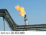 Россия, Тюменская область, Уватский район, Кальчинское месторождение нефти,   факел попутного газа. Стоковое фото, фотограф Александр Циликин / Фотобанк Лори