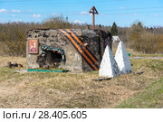 ДОТ Карпова (лейтенанта М. В. Дёмина) возле деревни Пижма, Гатчинский район, Ленинградская область (2017 год). Стоковое фото, фотограф Александр Щепин / Фотобанк Лори