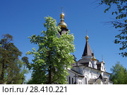 Церковь Иконы Божией Матери Гребневская в Клязьме. Город Пушкино Московской области (2018 год). Стоковое фото, фотограф Natalia Sidorova / Фотобанк Лори