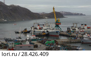 Буксиры помогают рыболовному судну причалить в морском порту (2018 год). Редакционное видео, видеограф А. А. Пирагис / Фотобанк Лори